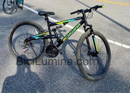 Schwinn Knowles ficha técnica y opiniones